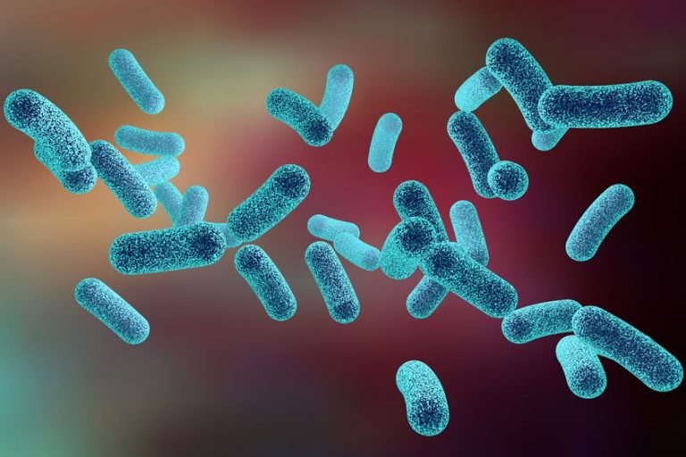 legionella Málaga